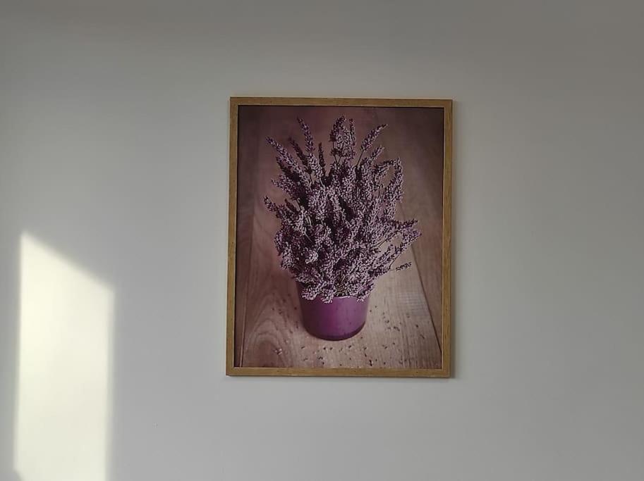 ***Santorini Apartament*** - 40M² ✓ Rybnik  Kültér fotó