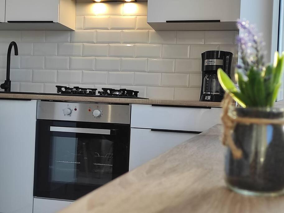 ***Santorini Apartament*** - 40M² ✓ Rybnik  Kültér fotó